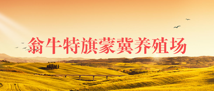 翁牛特旗蒙冀養殖場